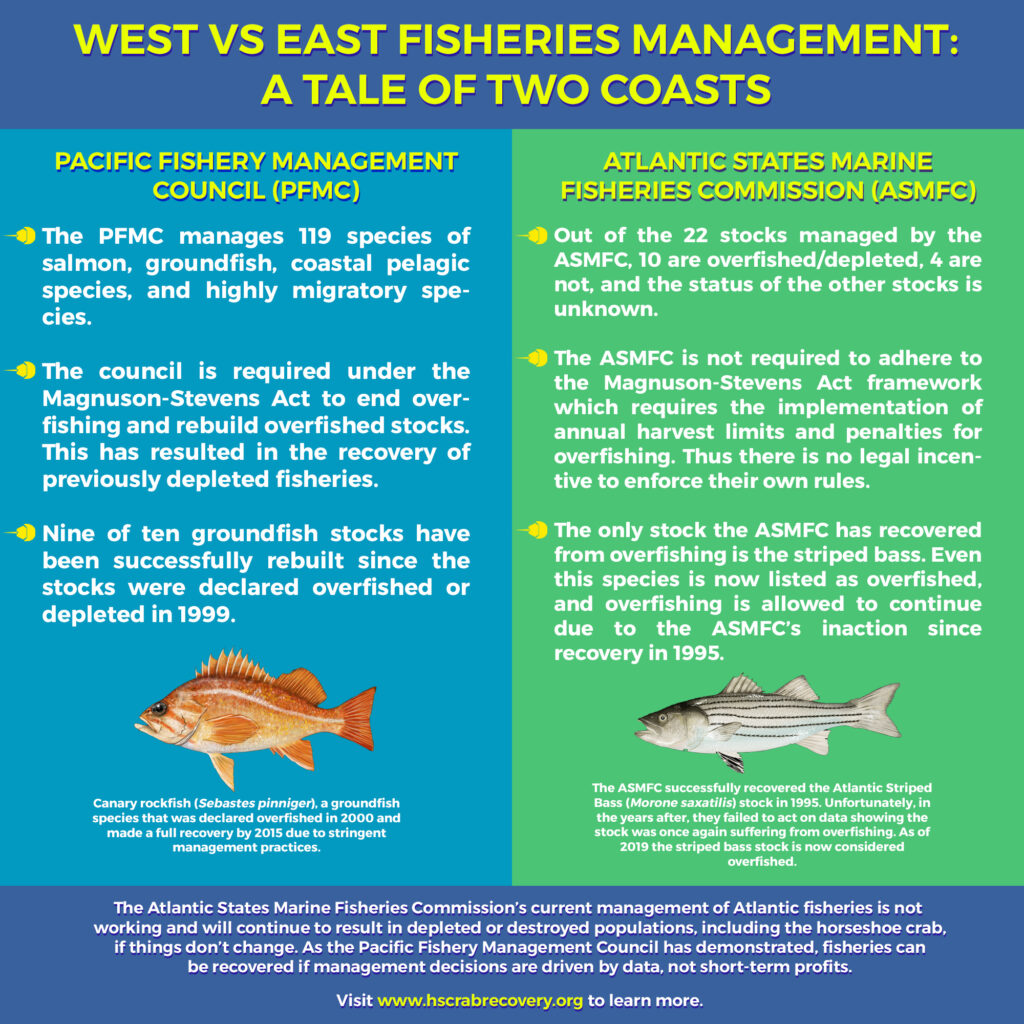 Resources Horseshoe Crab Recovery Coalition